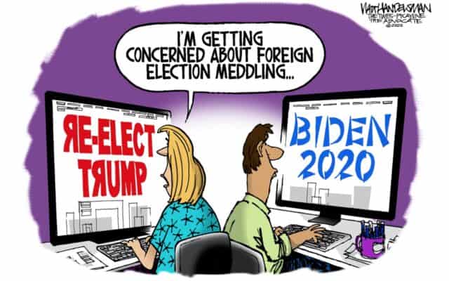 A political cartoon that shows two people sitting back to back on computers, one screen says Re Elect Trump and the other screen says Biden 2020, one of the people seated says "Im starting to get worried about election meddling"